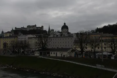 DSC_7056 (Large).JPG